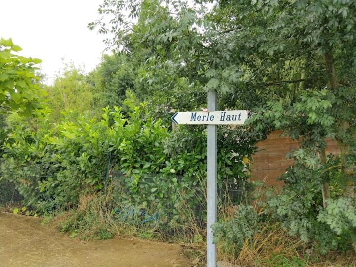 Belle Maison Du Quercy Septfonds Eksteriør billede